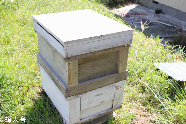 西洋ミツバチの飼育方法】春の建勢作業 継箱をする - 天然はちみつの蜂人舎